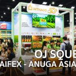 ผงเครื่องดื่มสำเร็จรูปสำหรับธุรกิจ